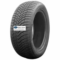 Ofertă specială WARRIOR WASP-PLUS 195/65R15 95V