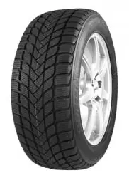 Expediere rapidă MASTER-STEEL WINTER + IS-W 205/50R17 93H XL