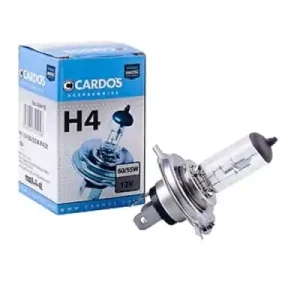 K2 HALOGEN H4 60 55W P43t K2 Premium
