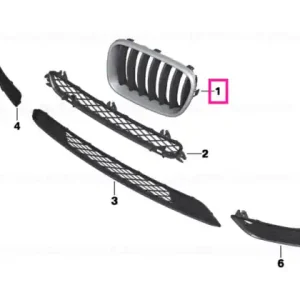 Grille, front, right - BMW Ofertă exclusivă