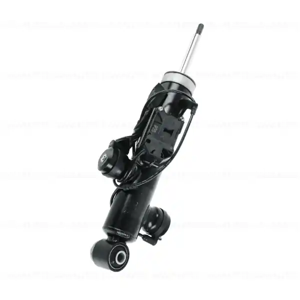Amortizor suspensie, punte spate, stanga - BMW Seria 5 F07 Promoție