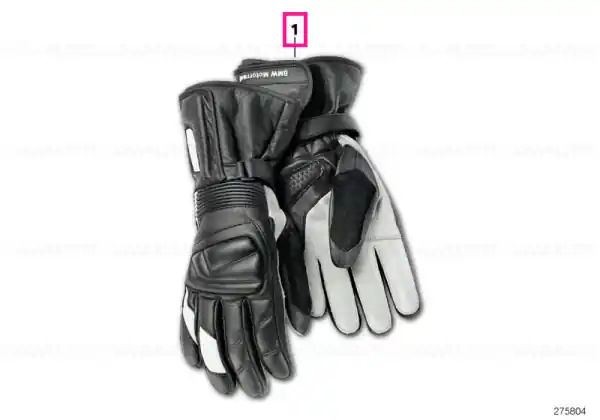 Cumpără online Glove, ProSport 8-8,5 - BMW Motorrad