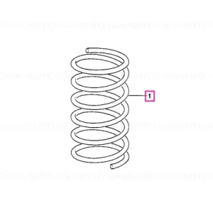 Arc elicoidal - BMW Chilipir