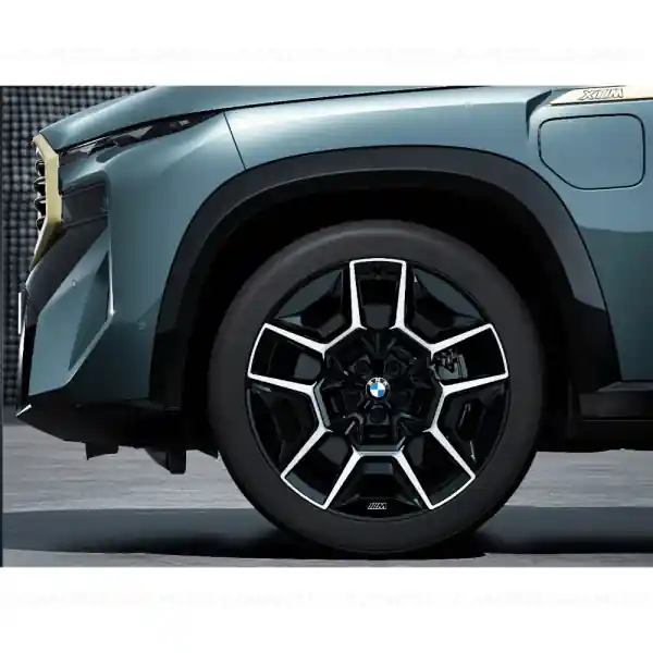 Ofertă Roată completă de iarnă - M Double Spoke 922M (flow forming, milled) cu anvelopa Pirelli Scorpion Winter - 315/35R22 111H XL - BMW XM G09 - punte spate